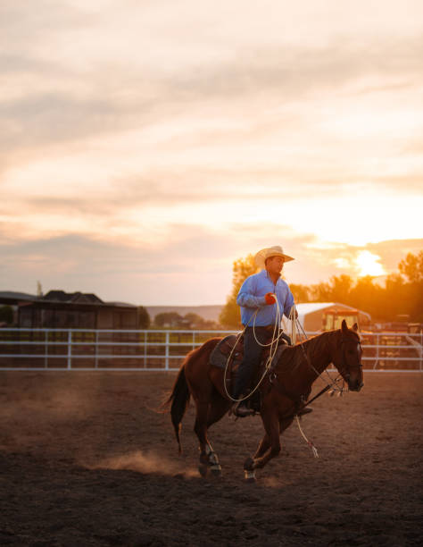 istock Cowboy riding at rodeo arena 1014272270