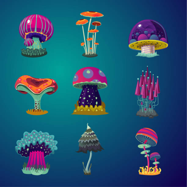 ilustrações de stock, clip art, desenhos animados e ícones de magic cartoon mushrooms icons set. fantasy object vector illustration. game design element collection. - fly agaric