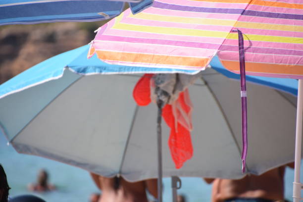 istock A classic parasol on the beach in Ibiza 1014276026