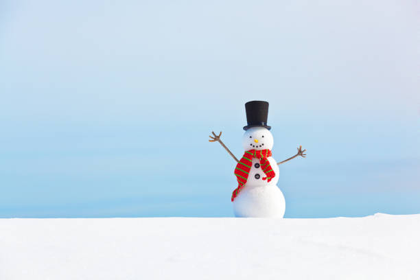 istock Snowman Portrait on Snow with Sky Background 1014282138