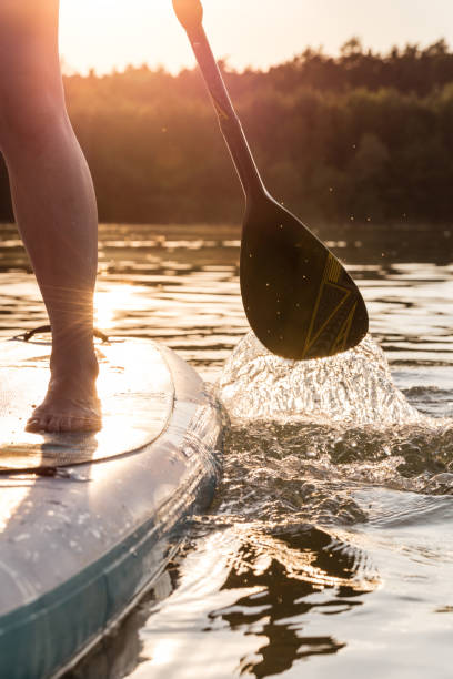 istock Partial view of stand up paddler at sunset 1014286250