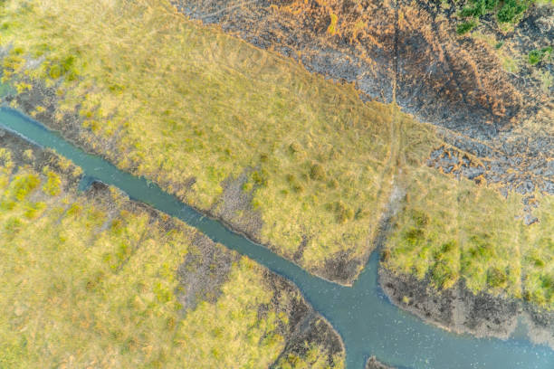 istock Aerial View Of Okavango River After Fire 1014291212