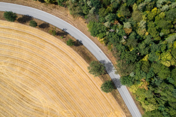 istock Road through agricultural area 1014291284