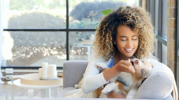 istock Woman playing with adorable puppy 1014291618