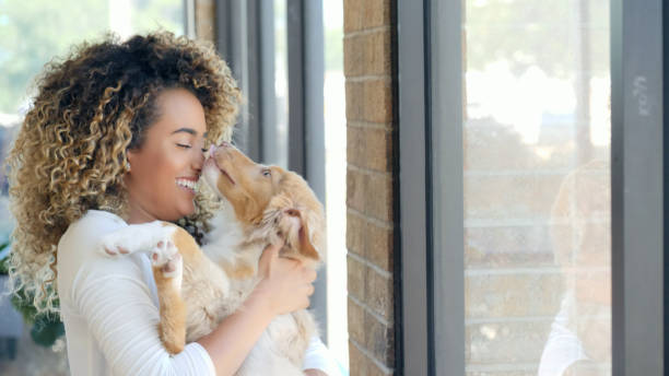 istock Adorable dog with his owner 1014291668