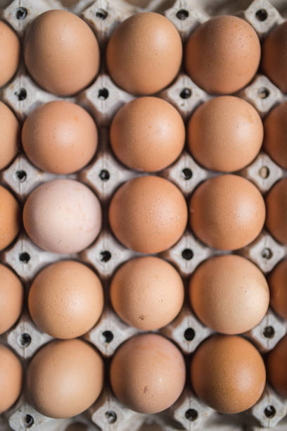 istock Chicken eggs in the pack with shallow depth of field from top view 1014297606