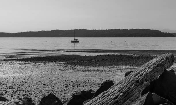 istock Boat On Puget Sound 1014298986