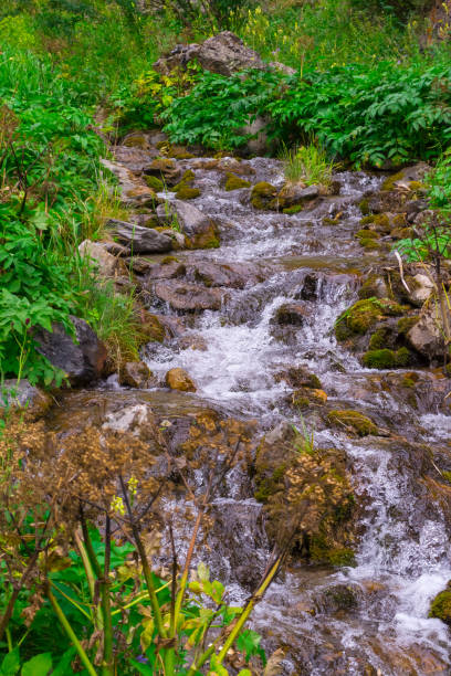 istock A small waterfall between the stones among the green grass from a creek with clear mountain water 1014301166