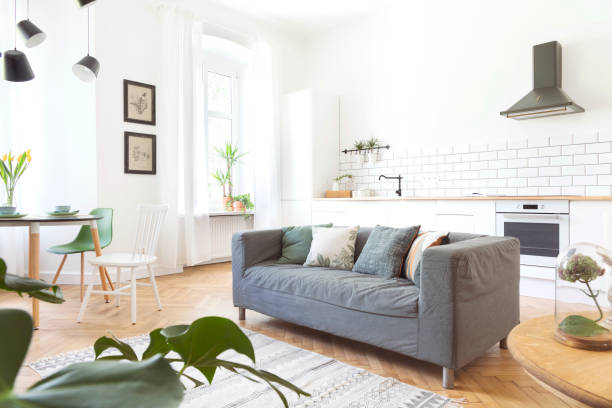 istock Modern and design scanidnavian open space with kitchen and living room. Sunny and bright space whit white brick walls , a lot of plants and sofa. 1014312648