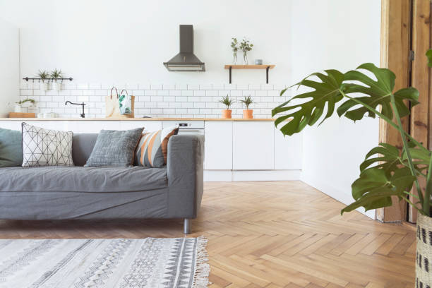 istock Stylish scandinavian open space with kitchen accessories, plants and sofa. Design room with white walls. 1014312762
