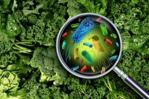 Bacteria And Germs On Vegetables Bacteria and germs on vegetables and the health risk of ingesting contaminated green food including romaine lettuce as a produce safety concept 3D render elements. enterobacteria stock pictures, royalty-free photos & images