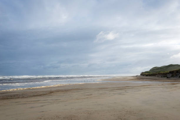 Deserted beach. stock photo
