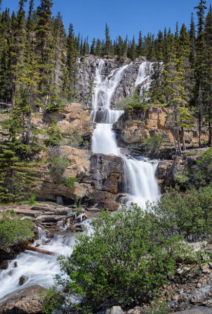 istock Tangle Creek Falls in Jasper National Park, Alberta, Canada 1014322878