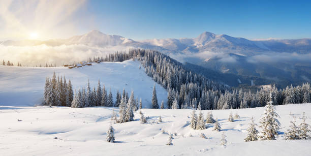 istock Sunny morning in the mountains 1014332534