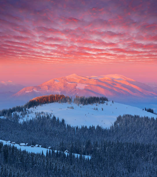 istock Winter landscape at dawn 1014333356