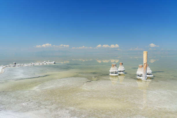 drewniane filary ze skrystalizowanym solą na jeziorze słonym urmia. iran - lake urmia zdjęcia i obrazy z banku zdjęć