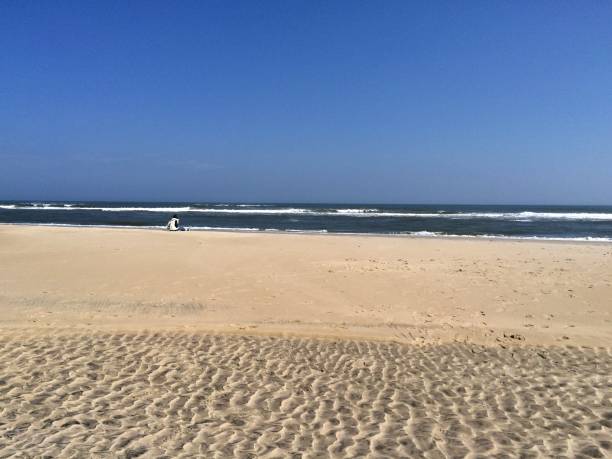 istock Chincoteague National Seashore 1014339260