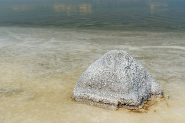 kamień ze skrystalizowanym solą na urmia salt lake. iran - lake urmia zdjęcia i obrazy z banku zdjęć