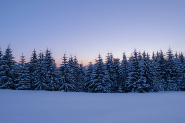 istock Winter lndscape of a mountain forest covered with snow at sunset. 1014351034
