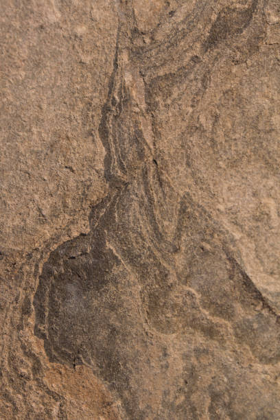 istock stone texture. surface of the marble with brown tint 1014352628