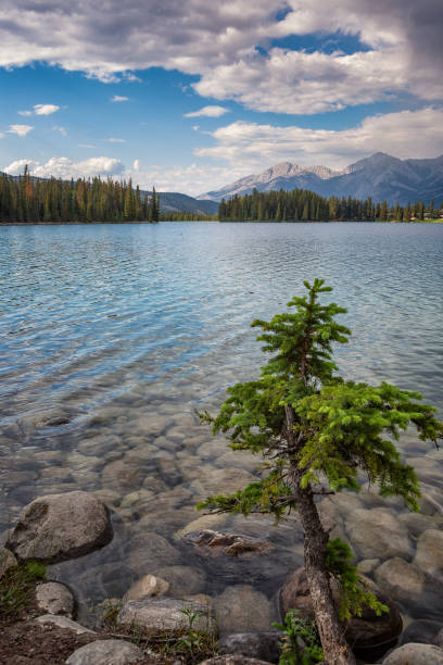 istock Lac Beauvert in Jasper, Alberta Canada 1014369156