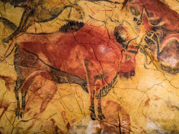 Altamira retorts Detail of the replica of paintings of the cave of Altamira cave painting photos stock pictures, royalty-free photos & images