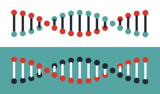 Vector illustration of DNA Structure