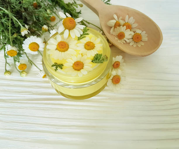 istock daisy flower, cosmetic cream on a white wooden background 1014381982