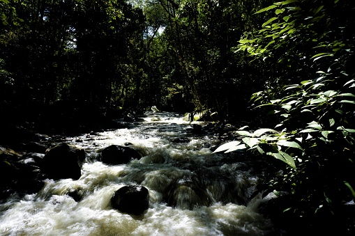 The Savegre river in San Gerardo de Dota, Costa Rica