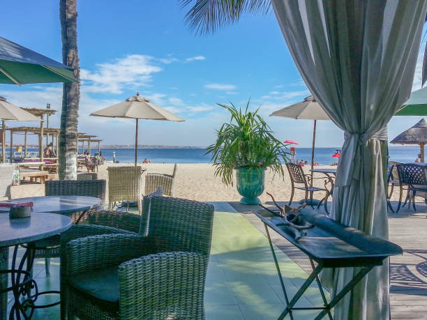 istock Tropical beach club resort with palm trees 1014408388