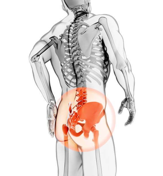 hanche douloureuse squelette aux rayons x, illustration 3d. - hip femur ilium pelvis photos et images de collection