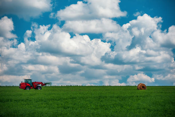Kırşehir, Turkey - July 24, 2021: Unidentified Turkish people who is farm worker wearing traditional clothes in steppe with a small tractor in kırşehir turkey. They are harvesting the lentil on field in summer time.