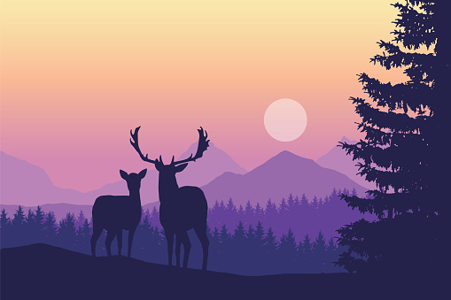 Two deer standing in coniferous forest under mountains and yellow purple sky - vector, with space for text