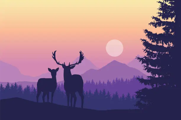 Vector illustration of Two deer standing in coniferous forest under mountains and yellow purple sky - vector, with space for text