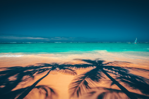 Palm trees shadow on the tropical beach, Bavaro, Punta Cana, Dominican Republic
