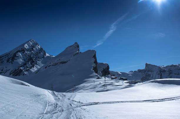 paisaje - gemmi fotografías e imágenes de stock