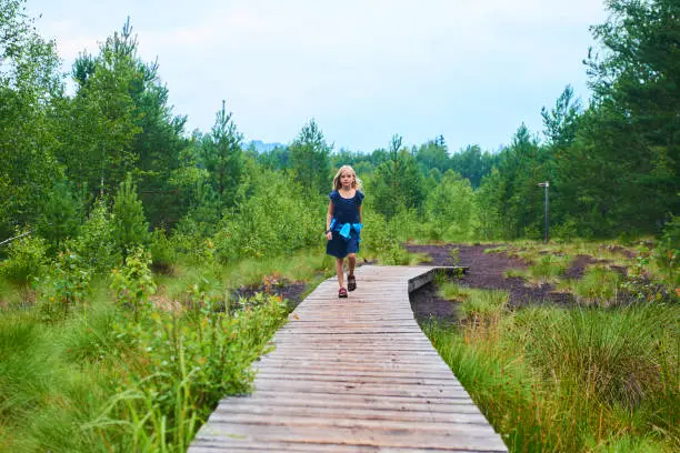 Child little blond girl exploring nature at Soumarske moor (peat-bog), National Park Sumava, Bohemian forest, Czech Republic