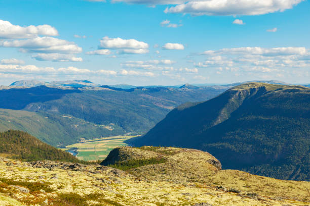 View to Gudbrandsdalen  in summer, seen from Hoevringen , Rondane National Park.