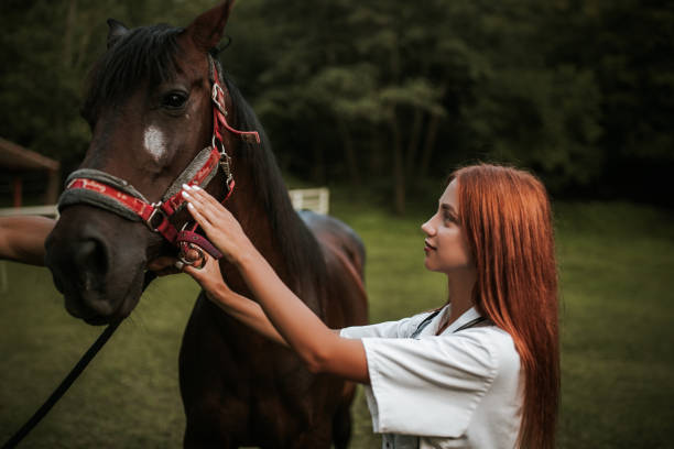 istock Vet and horse 1014421822