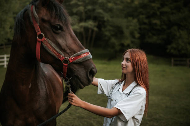 istock Vet and horse 1014421884