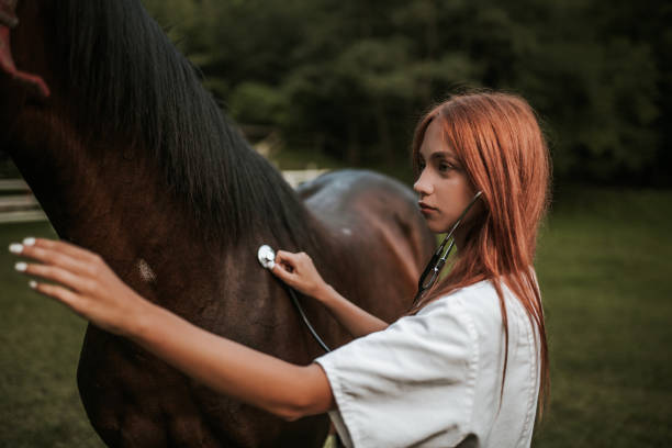 istock Vet and horse 1014422078