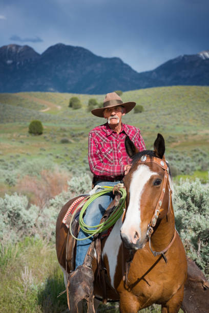 istock Senior cowboy on his horse, fields and Utah mountains 1014428562