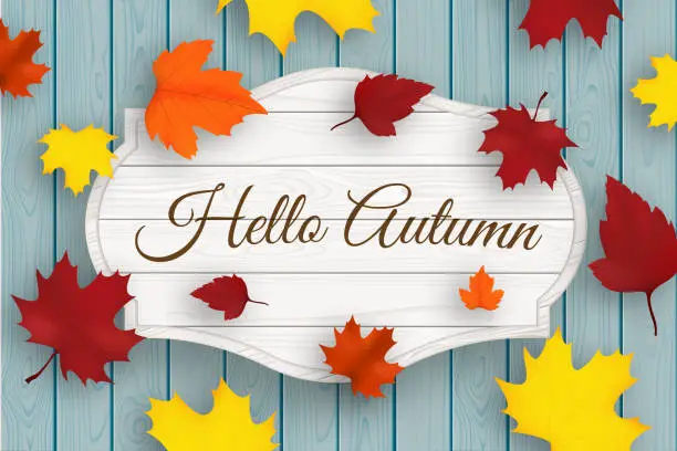 Vector illustration of Hello autumn wooden signboard with leaves and blue old wood planks. Vector.