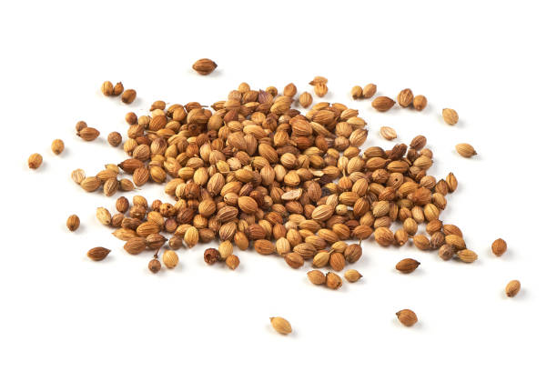 istock Dried coriander seeds, isolated on white background. 1014438496