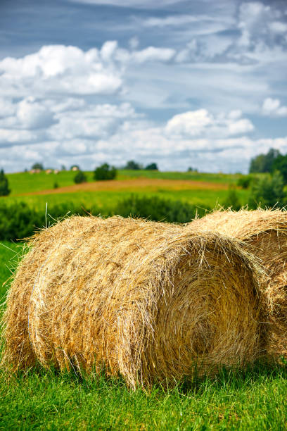 istock Straw roll on a green field with a beautiful sky. 1014441594