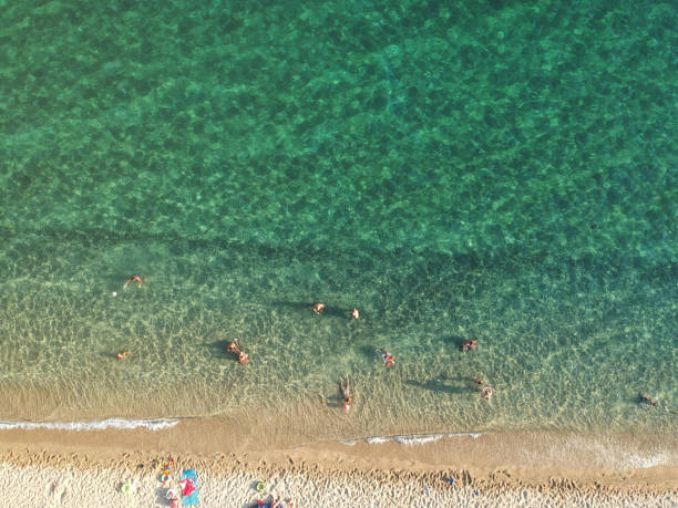 istock Beach with umbrellas and a bright water 1014458570