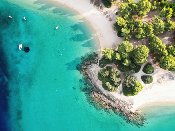 luftaufnahme des hellen türkis wasser und strand mit kiefernwald. - vacations halkidiki beach sand stock-fotos und bilder