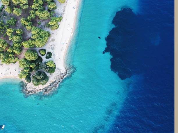 vista aerea dell'acqua turqouise brillante e della spiaggia con pineta. - vacations halkidiki beach sand foto e immagini stock