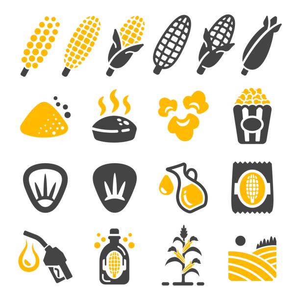 corn icon corn icon set corn biodiesel crop corn crop stock illustrations