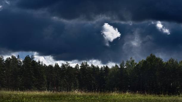 istock Green field against rainy clouds 1014465146